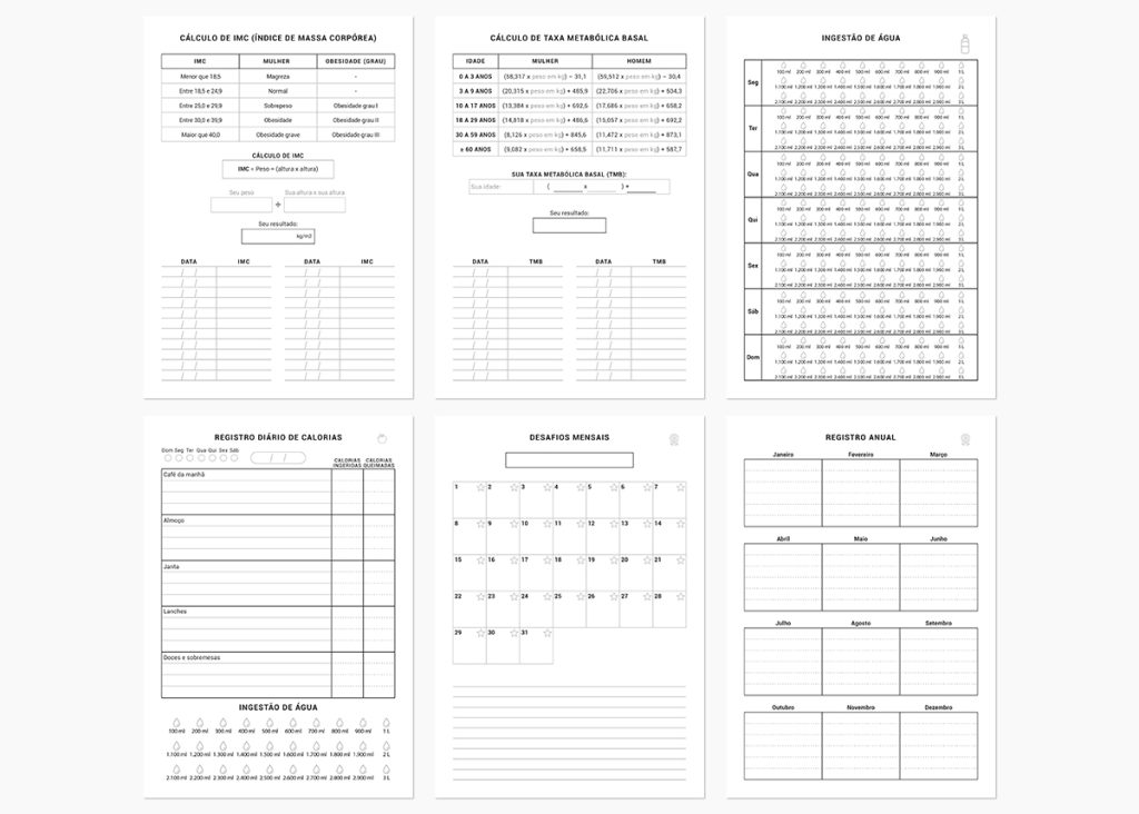 Planner Fitness A5 Para Imprimir Download