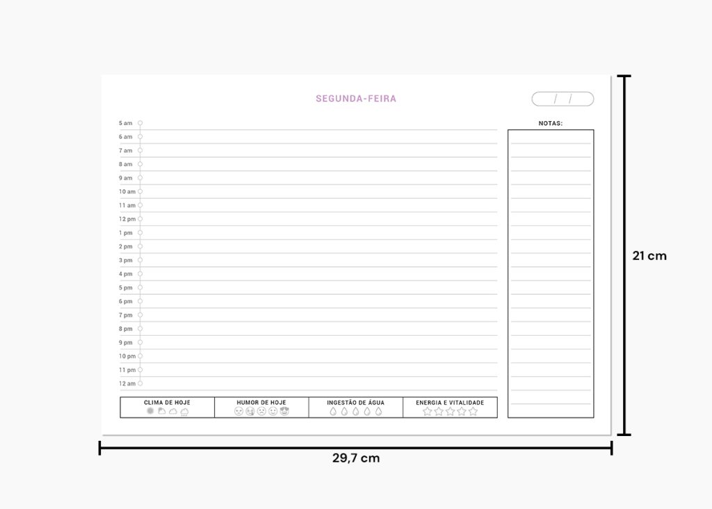 Planner Semanal permamente A4 Para Imprimir Download