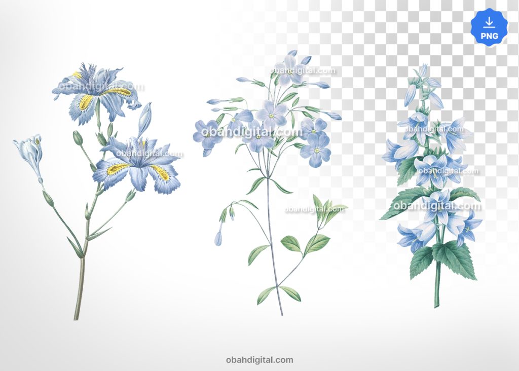 Flor Azul Vintage com fundo transparente PNG