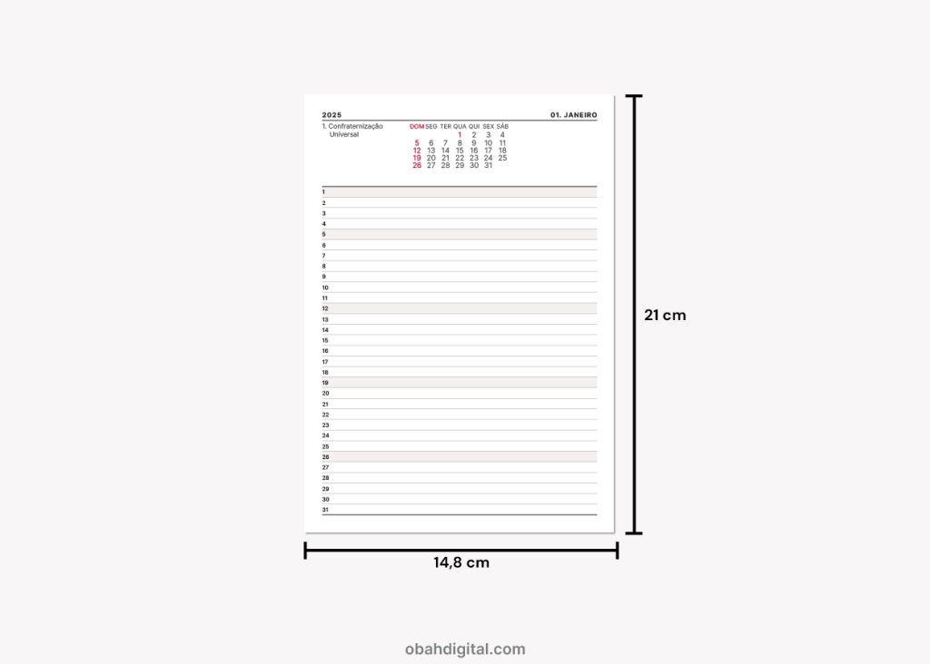 Planner 2025 A5 Registros mensais