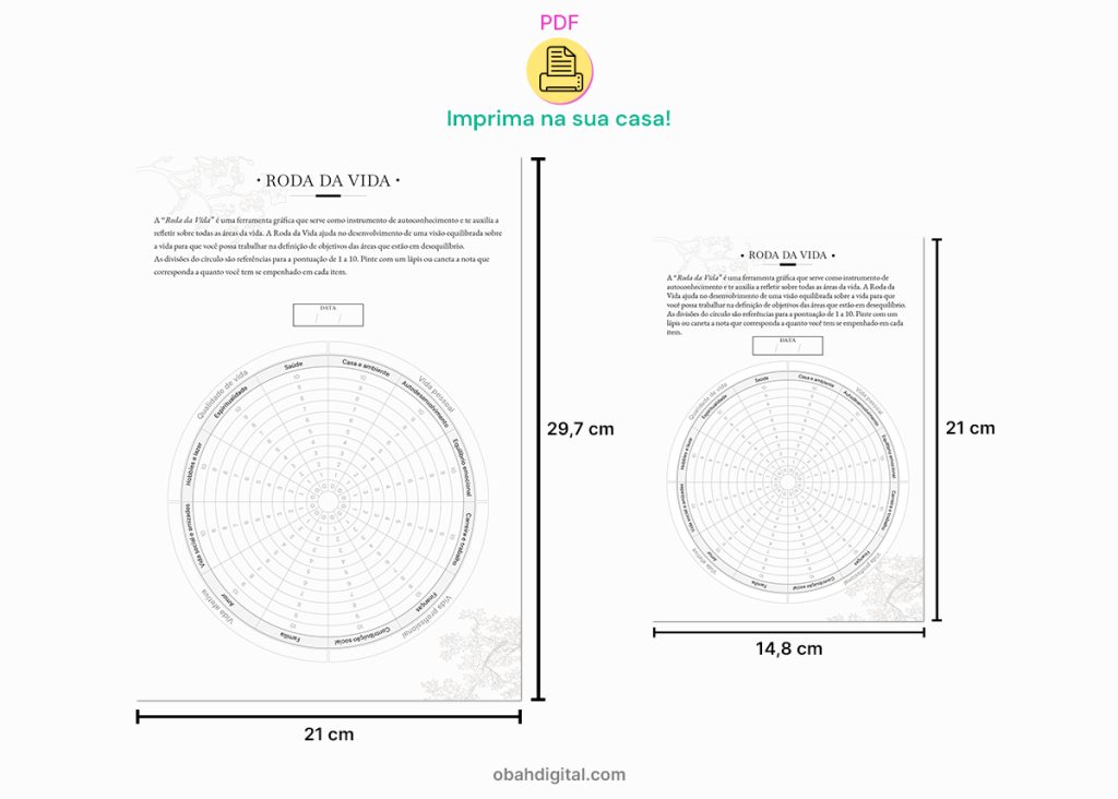 Roda da Vida A4 e A5 para imprimir