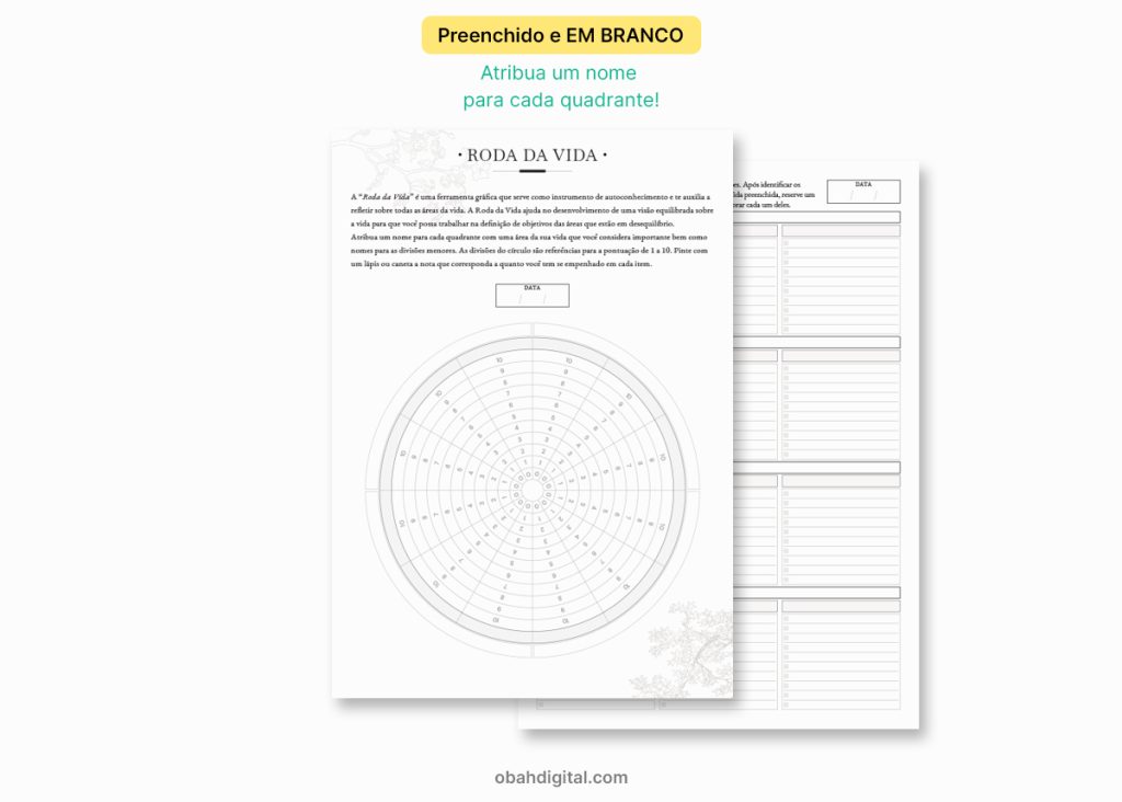 Roda da Vida A4 e A5 para imprimir