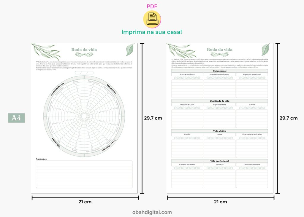 Roda da Vida A4 para imprimir