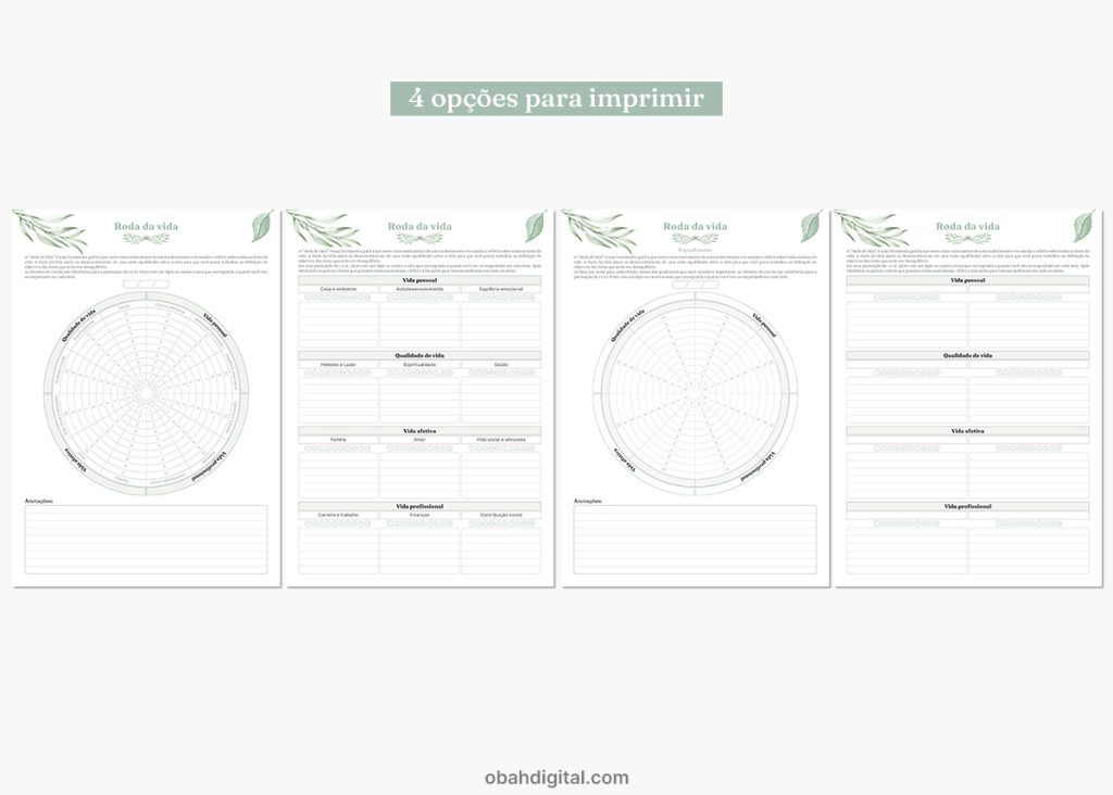 Roda da Vida A4 para imprimir